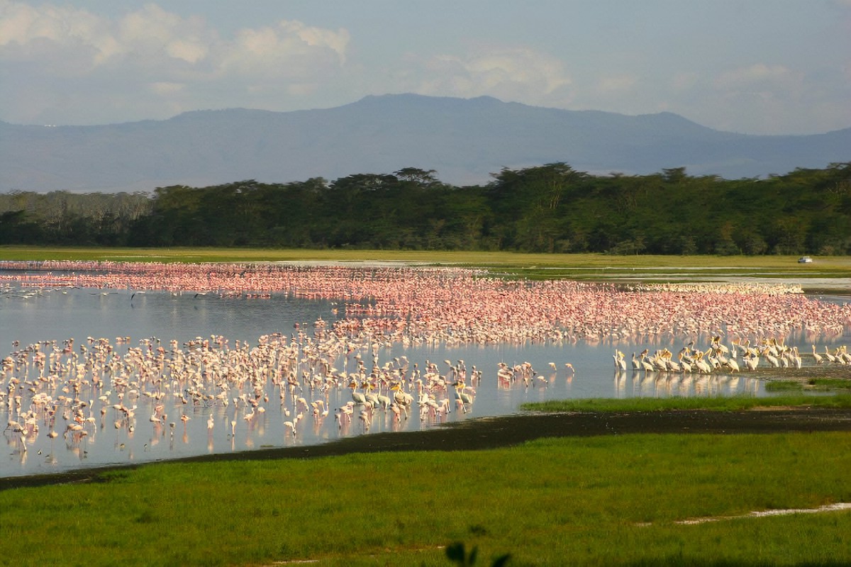Aberdare National Park – Lake Nakuru National Park 
